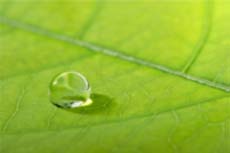 Extraction a l'eau